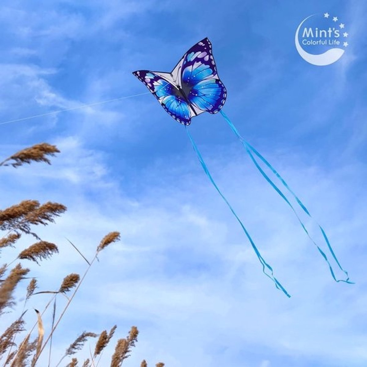 Vlieger voor kinderen en volwassenen - blauwe vlinderdesign