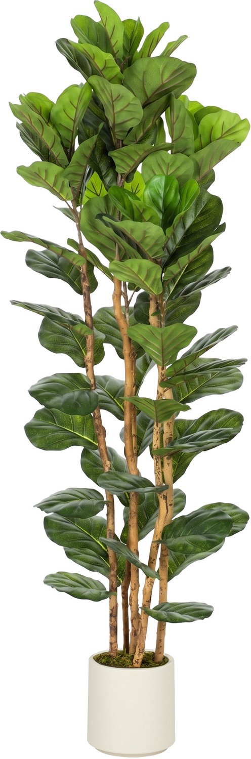 Homona Kunstmatige vioolbladplant - Met 91 bladeren en massief houten stam - 55 x 55 x 180 cm - Groen