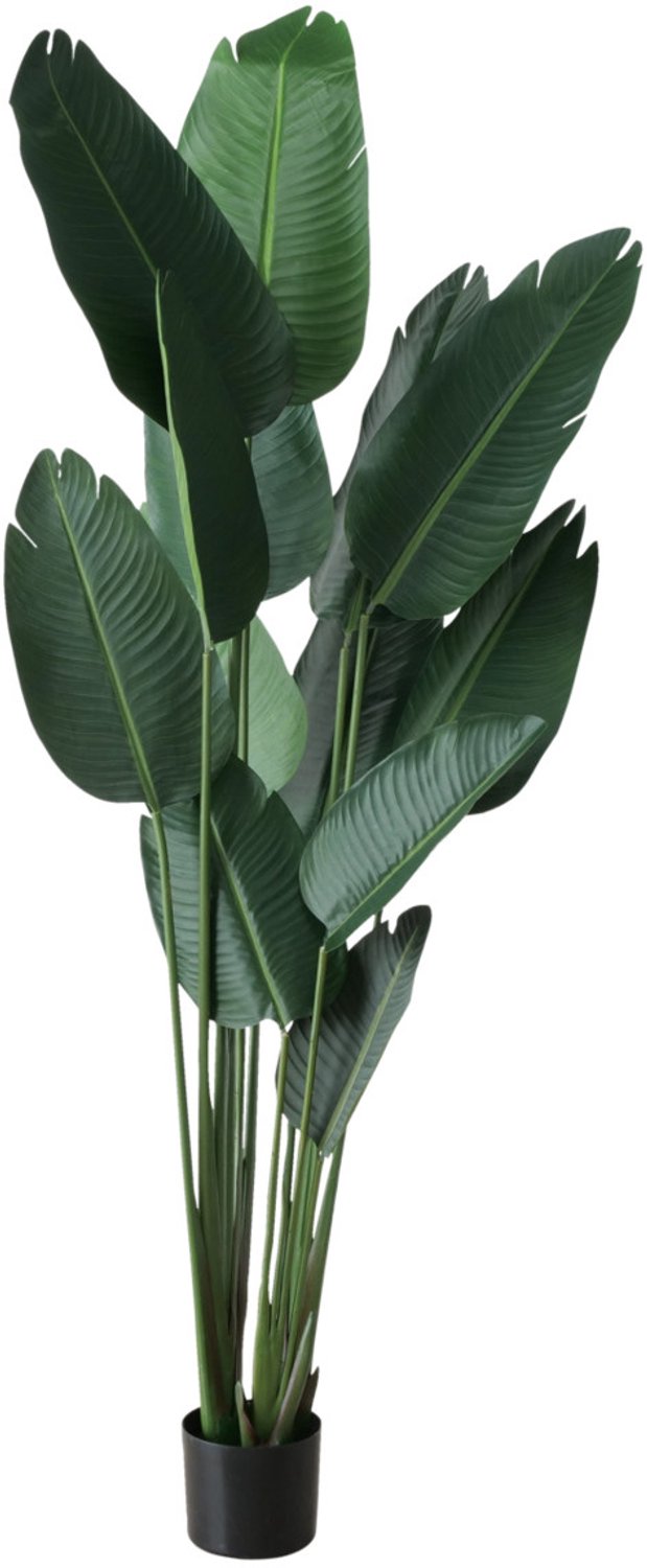 Boltze - Kunstplant bananenboom, hoogte 185 cm