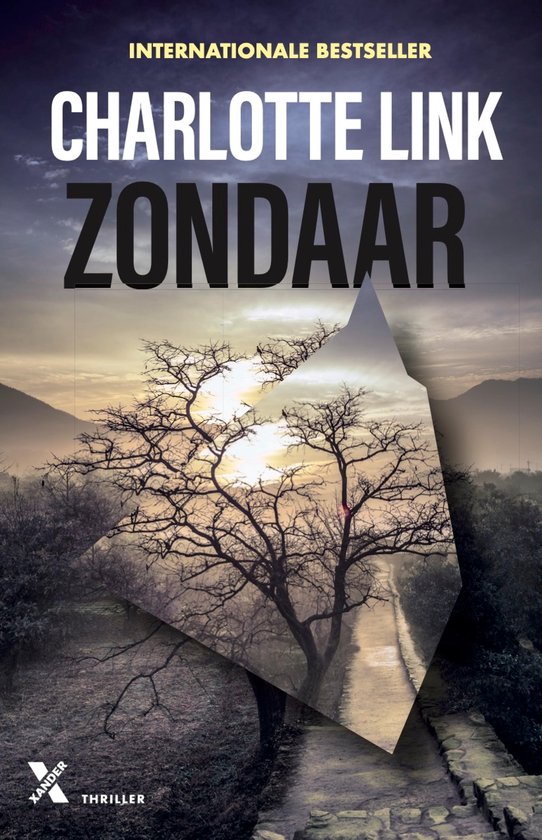 Boekomslag van Zondaar door Charlotte Link met een silhouet van een boom bij zonsondergang en een stenen pad.