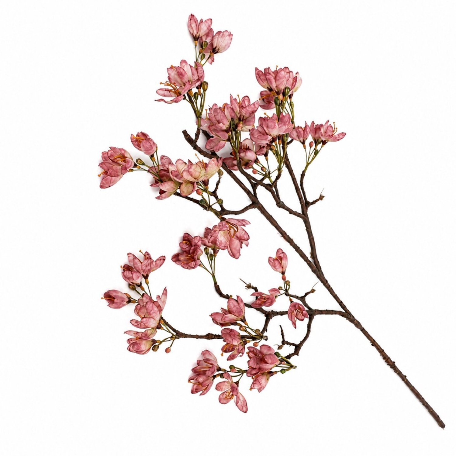 Bloesemtak 90cm oudroze