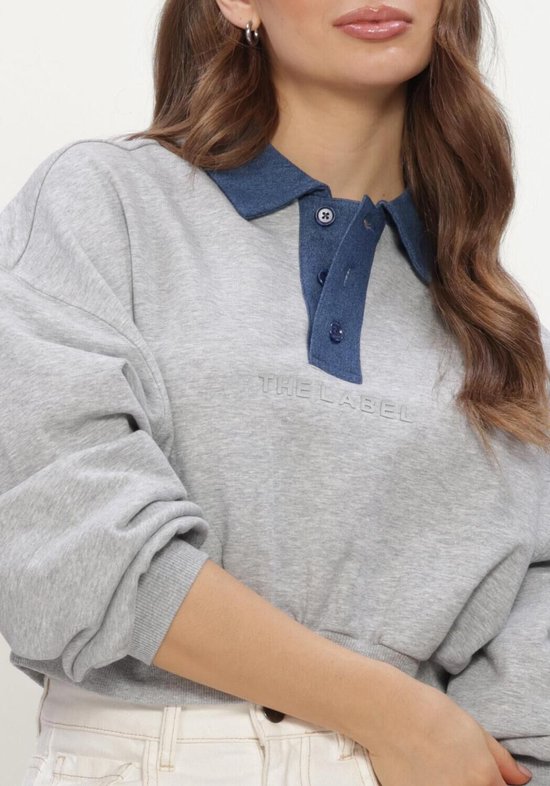 Grijze sweater met blauwe kraag en knoopsluiting, voorzien van 'THE LABEL' tekst op de borst.
