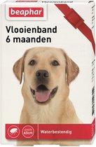 Beaphar Diagnos Vlooienband Hond Rood 6 Mnd