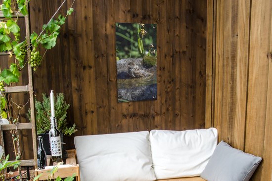 Tuinposter 40x80 cm - Tuindecoratie Vogelbad - Mus - Water - Poster voor in de tuin - Buiten decoratie - Schutting tuinschilderij - Tuindoek muurdecoratie - Wanddecoratie balkondoek