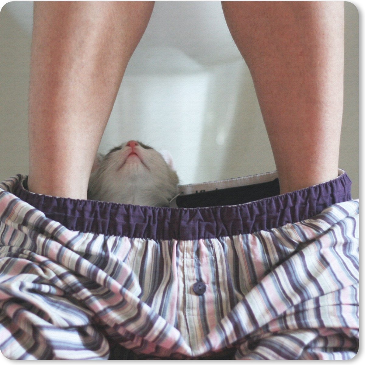 Muismat 20x20 cm - Mousepad Kat - Broek - Toilet - Muismatten