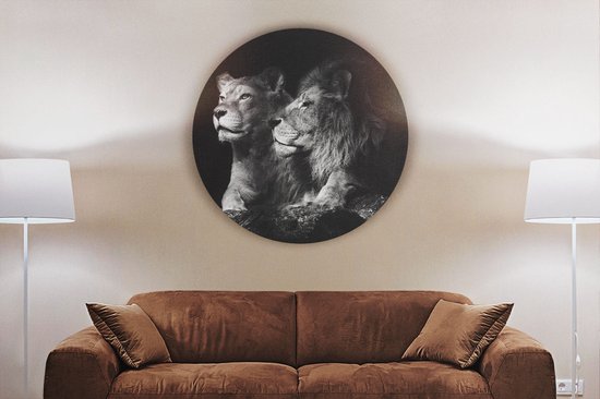 Grande Plaque Murale Ronde – Lion – Extérieur/intérieur – Occasion Bon état