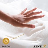 Hoofdkussen Tegen Nek- en Rugklachten – Memory Foam – Orthopedisch Traagschuim – Ergonomisch Hoofdkussen – Neksteun – Kussen Tegen Slaap- en Nekklachten – Koudschuim – Size 48 x 29
