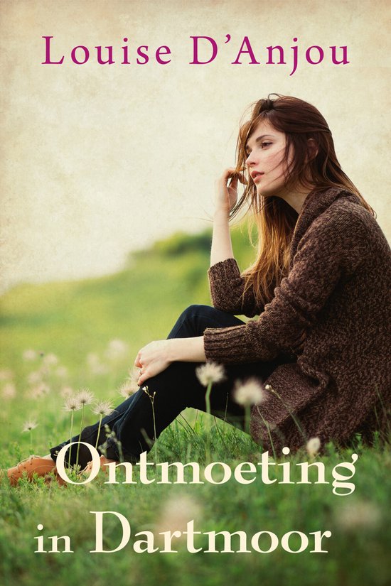 Ontmoeting in Dartmoor - cover