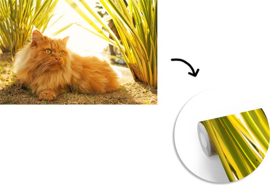 Papier peint photo vinyle - Chat persan parmi les plantes largeur 450 cm x hauteur 300 cm - Tirage photo sur papier peint (disponible en 7 tailles)