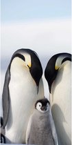 Banier Pinguïn 100x200 cm met aluminium stokken en ophangkoord