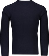 Polo Ralph Lauren  Sweater Blauw voor heren - Lente/Zomer Collectie