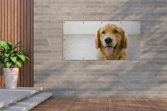 Décoration murale extérieur un super Golden Retriever - 160x80 cm - Toile de jardin - Affiche extérieure