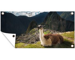 Tuinposter Alpaca - Machu Picchu - Rots - 60x30 cm - Tuindoek - Buitenposter