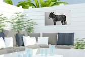 Tuinposter Een illustratie van een zwarte ezel - 60x30 cm - Tuindoek - Buitenposter