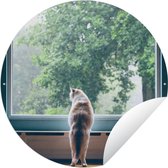 Affiche Jardin Rond Chat - Fenêtre - Plantes - 90x90 cm - Extérieur