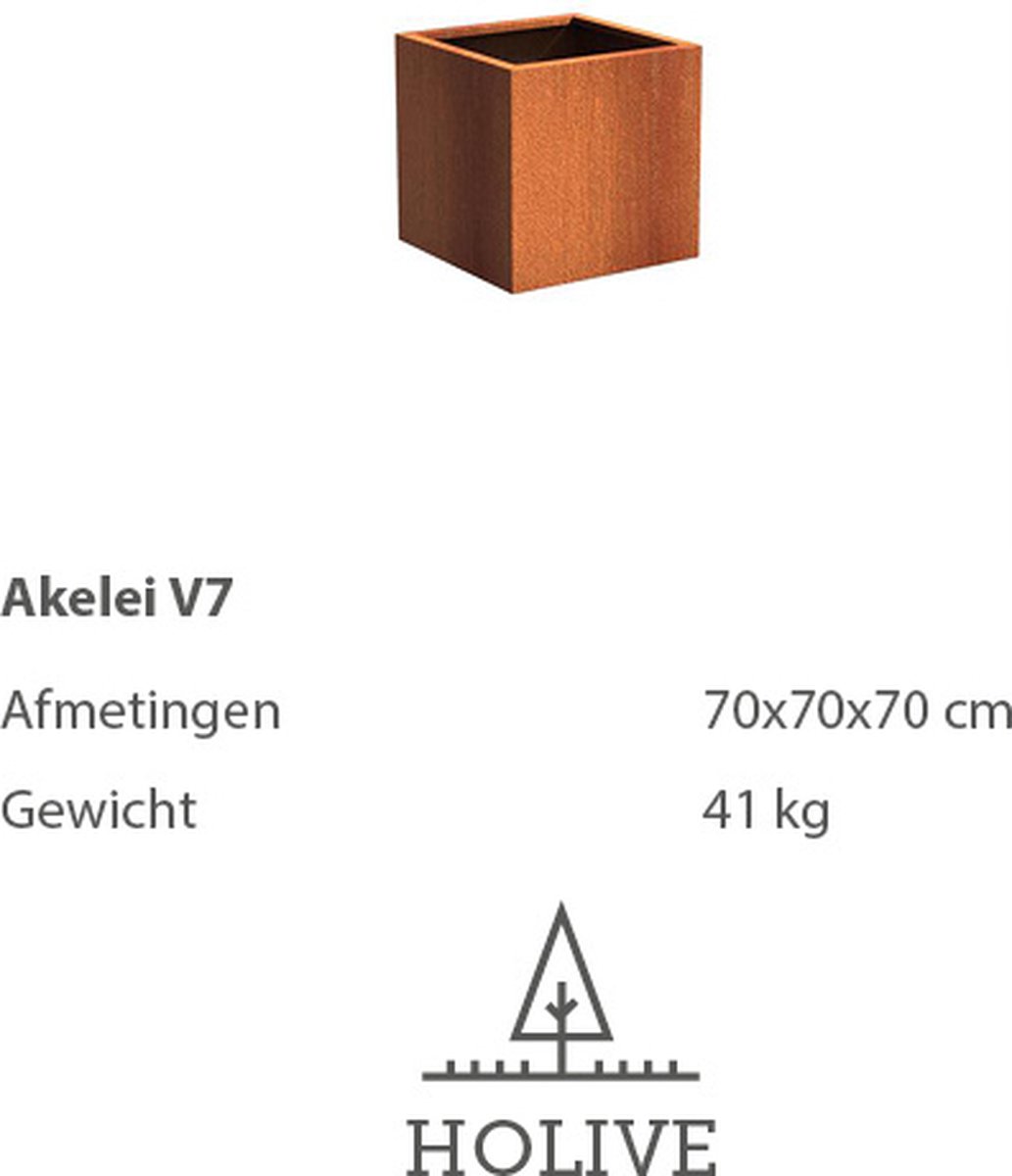Cortenstaal Akelei V7 Vierkant 70x70x70 cm. Plantenbak