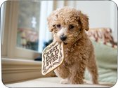 Labradoodle Puppy Muismat Rubber - Hoge kwaliteit foto van een Labradoodle puppy - Muismat gedrukt op polyester - 25 x 19 cm - Antislip muismat - 5mm dik - Muismat met foto - heerlijk voor op kantoor