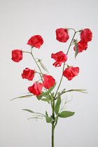 Kunstbloem - Lathyrus -  pronkerwten - topkwaliteit decoratie - 2 stuks - zijden bloem - Rood - 70 cm hoog