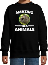 Sweater luiaard - zwart - kinderen - amazing wild animals - cadeau trui luiaard / luiaarden liefhebber 3-4 jaar (98/104)