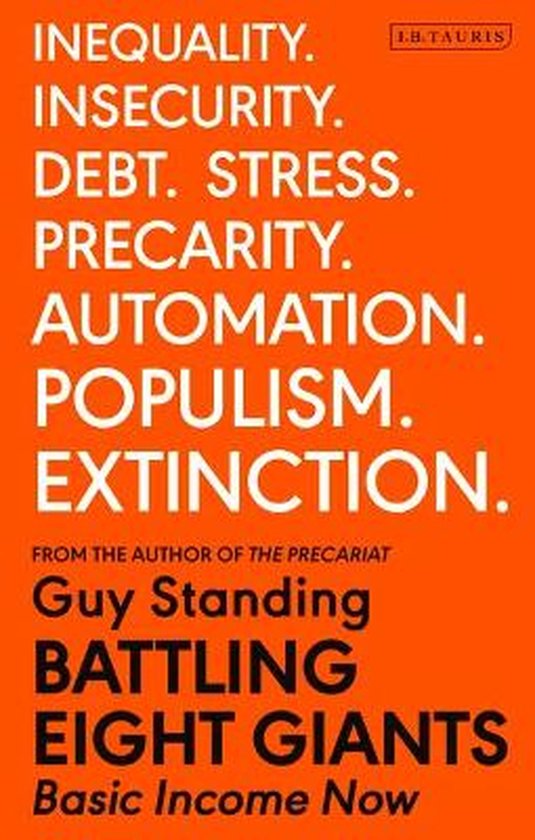 Basic Income Now How to End Austerity and Provide for All
