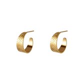 Oorbellen Vissengraat | Goud