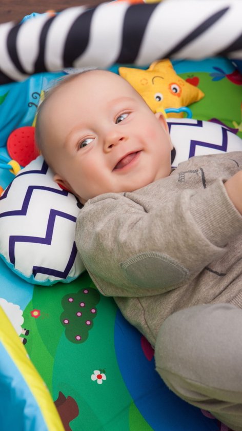 Lionelo Anika Plus 2-in-1 Babygym & Speelkleed – Met Verhoogde Randen (Boxfunctie) – Inclusief Tummy Time Kussen, Interactief Boekje & 5 Speeltjes – 115x110 cm