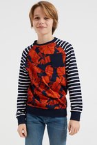 WE Fashion Jongens gestreept T-shirt met dessin