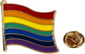 Rainbow Flag Regenboog Vlag LGBT Gay Pride Emaille Pin 3 cm / 3 cm / Multicolor