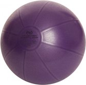 fitness-mad-fitnessbal-swiss-bal-pomp-500-kg-55-cm-pvs