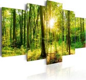 Schilderij - Forest Tale.