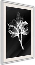 White Plant.