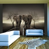 Fotobehangkoning - Behang - Vliesbehang - Fotobehang Olifanten op Straat - 200 x 154 cm