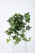 kunstplant - Sage Ivy - Hedera- topkwaliteit plant - hangplant - groen - 30 cm hoog