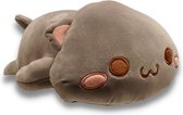 Pluche Knuffel Kat - Grijs - 35 cm - Schattig Cadeau - Kussen