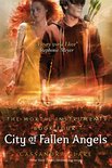The Mortal Instruments 4 - The Mortal Instruments 4: City of Fallen Angels