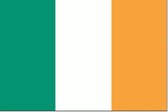 Ierse vlag 50x75cm