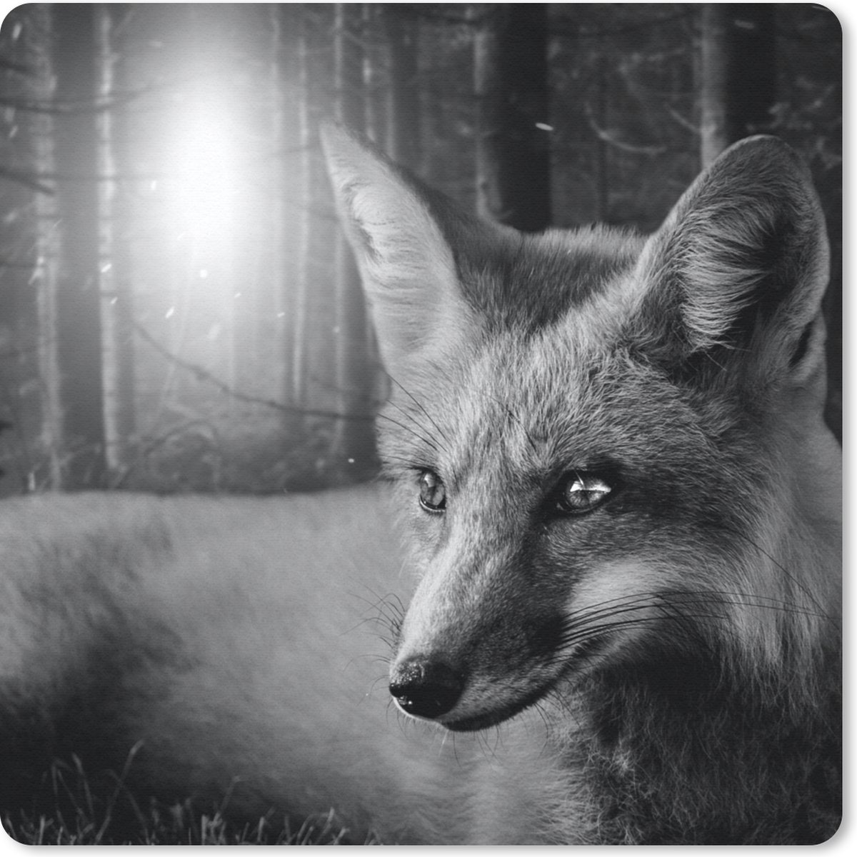 Muismat 30x30 cm - Mousepad Dieren - Vos - Bos - Zwart - Wit - Muismatten