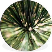 WallCircle - Wandcirkel - Muurcirkel - Cactus - Abstract - Plant - Aluminium - Dibond - ⌀ 30 cm - Binnen en Buiten