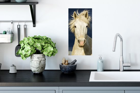 Affiche Cheval en Camargue - 20x40 cm