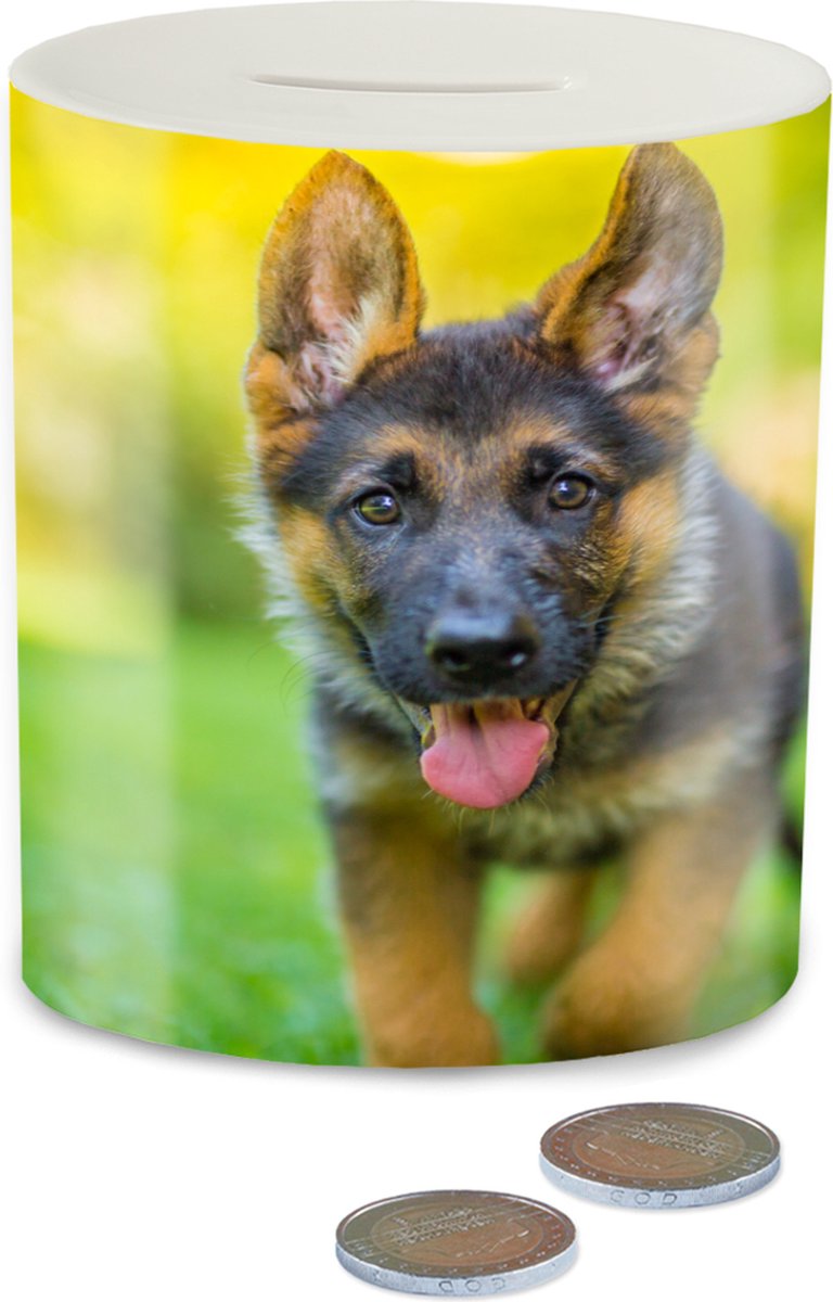 Spaarpot - Spaarblik - 4 rennende honden op een rij - Spaarpotten - Volwassenen - Kind Spaarpot - Spaarblik - 4 rennende honden op een rij - Spaarpotten - Volwassenen - Kind