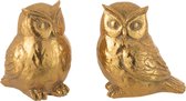 Ster - Uil | polyester | goud | 19x13x (h)13 cm