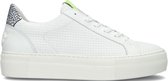 Floris Van Bommel Sfw-10059 Lage sneakers - Leren Sneaker - Dames - Wit - Maat 41