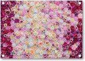 Rozenmix - Tuinposter 70x50 - Wanddecoratie - Bloemen