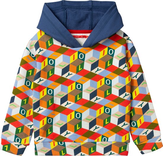 Hudson hoody 20 AOP blocks multicolor Red: 104/4yr