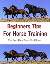 Beginners Tips for Horse Training: What Every Horse Trainer Should Know