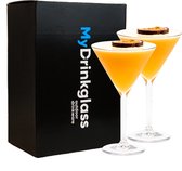 MyDrinkglass Plastic Martini Glas Turijn | Plastic Martini Glazen | 2 Stuks | Plastic Glazen | Zero Waste | Herbruikbaar | Onbreekbaar Martini Glas | 200 ml |