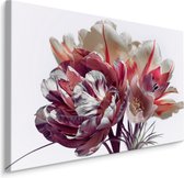 Schilderij - Boeket kleurrijke bloemen, premium print