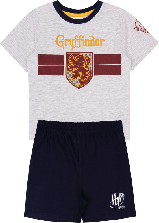 Kledingset, shirt en shorts met een Harry Potter-motief / jaar