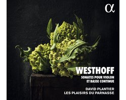 David Plantier - Les Plaisirs Du Parnasse - Sonates Pour Violon Et Basse Continue (CD)