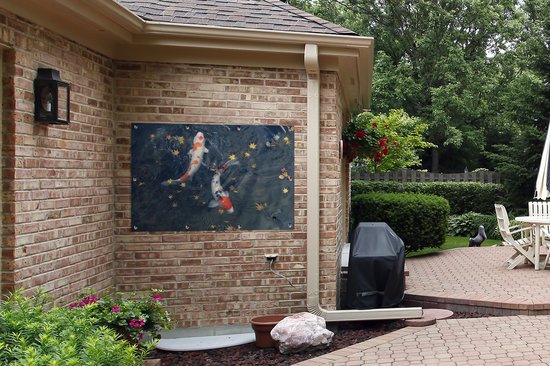 Poster de jardin Deux corsaires koï nageant entre les feuilles - 120x80 cm - Jardin